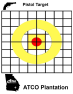 ATCO Plantaqtion - Red and Yellow Pistol Target